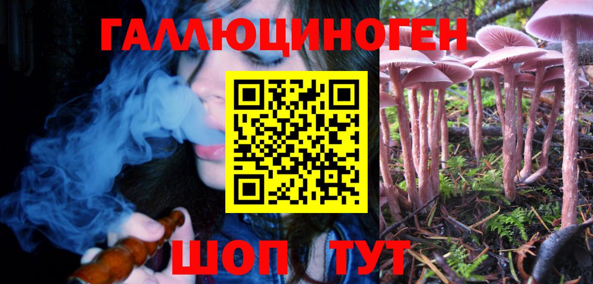 Псилоцибиновые грибы GOLDEN TEACHER Черкесск