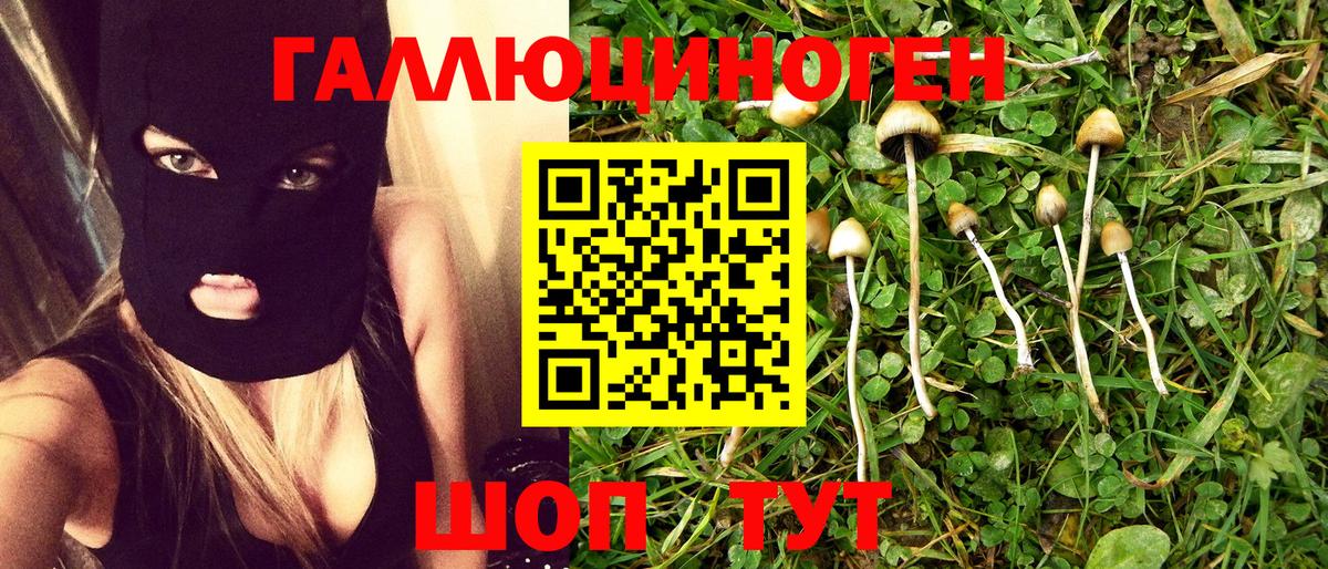 купить наркоту  Вход с VPN  Черкесск  Галлюциногенные грибы ЛСД 